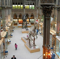 Pitt Rivers Museum